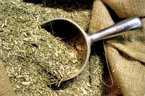 Yerba Mate Microdosis Baja California Sur