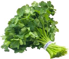 Cilantro Microdosis Baja California Sur