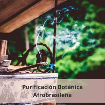 Purificación-Botánica